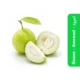 Guava